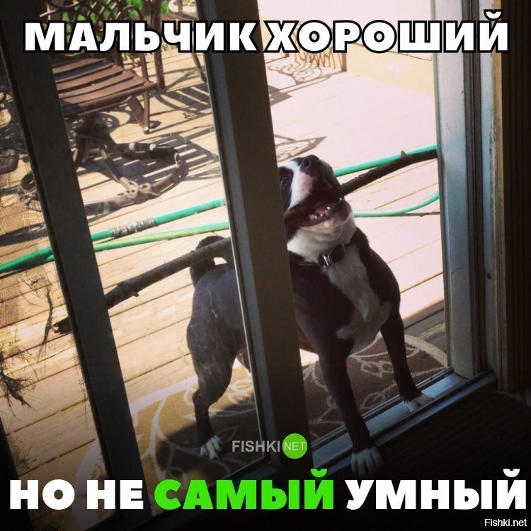 Мальчик хороший, но не самый умный