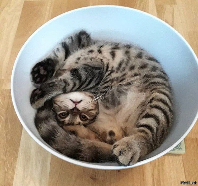 Солянка
