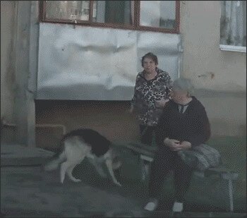 Солянка