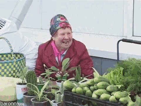 Солянка