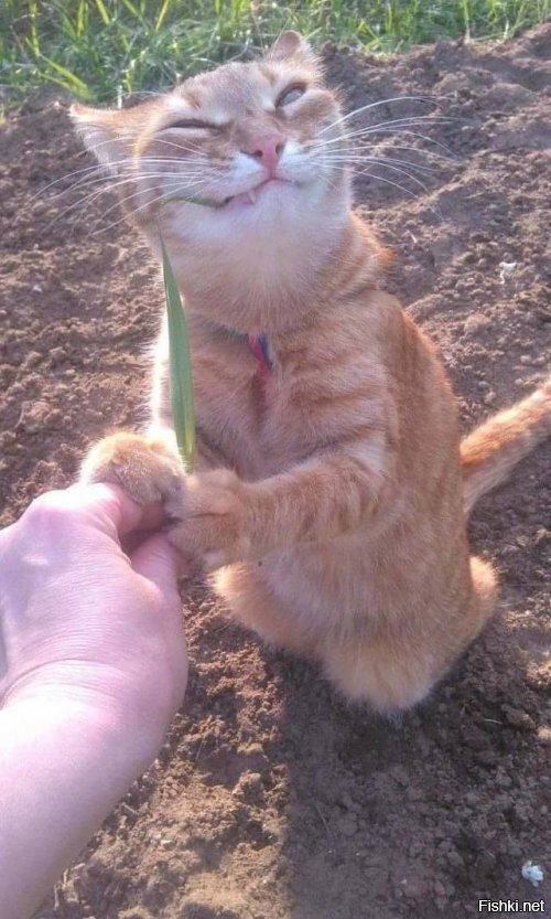 а мы такие 