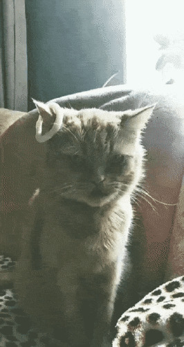 Всё, хана хозяевам