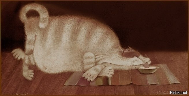 Солянка