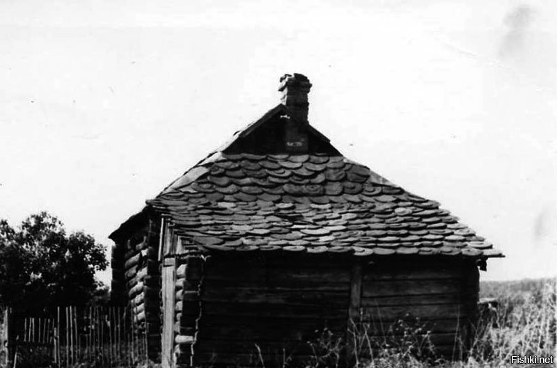 1950