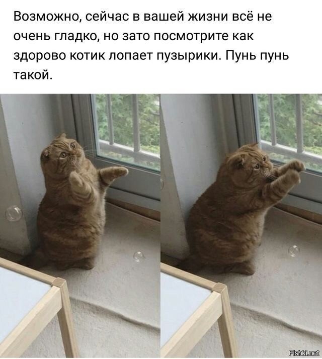 =)