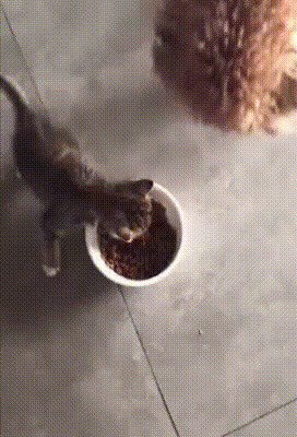 Я знаю многих людей, которые так едят
