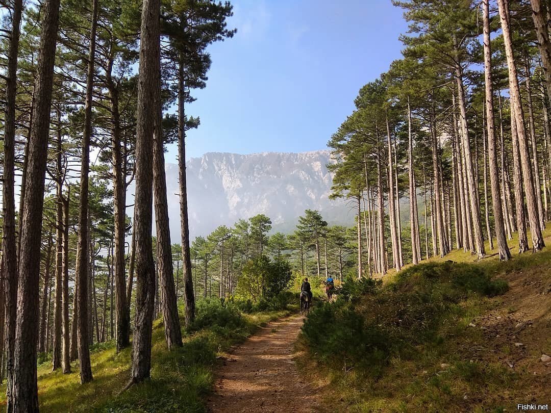 Крым, Ялта