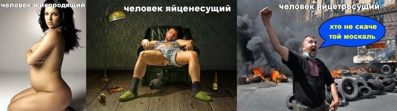 Галю,  ми вжэ в Эуропе!