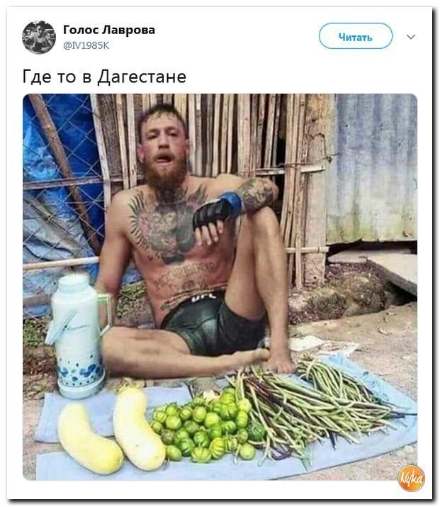 Политические коментарии соцстей - 631