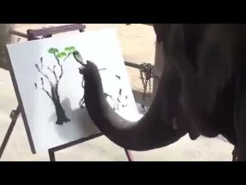 Слон рисует картины. Слон художник