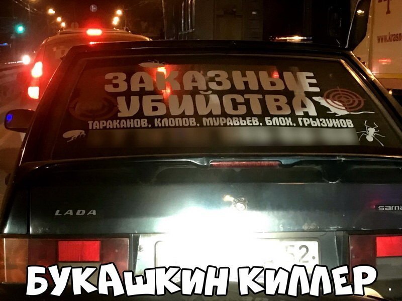 Автовсячина