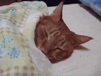 С добрым утром Солянщики