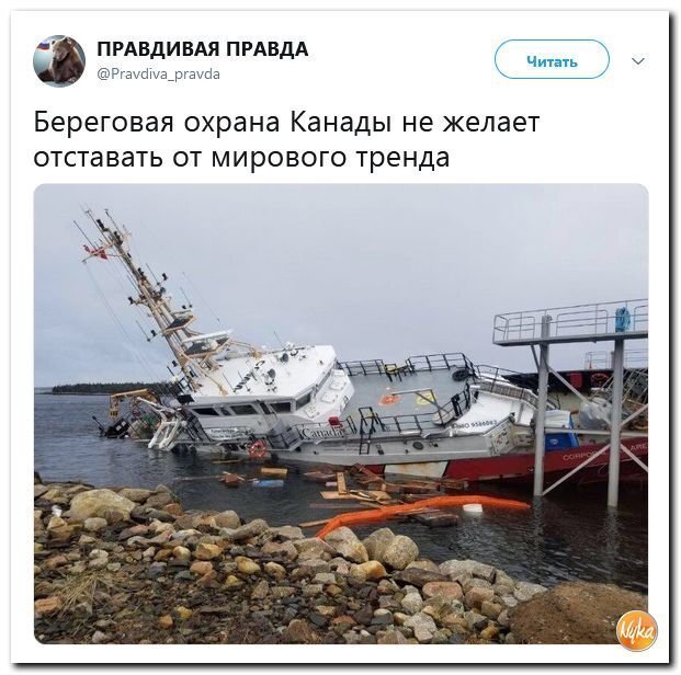Политические коментарии соцстей - 646
