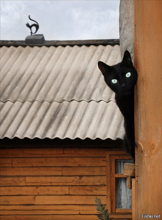 Зачем пришли