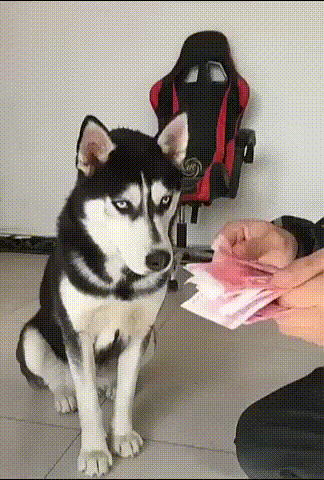 Совместный подсчет заработанного 