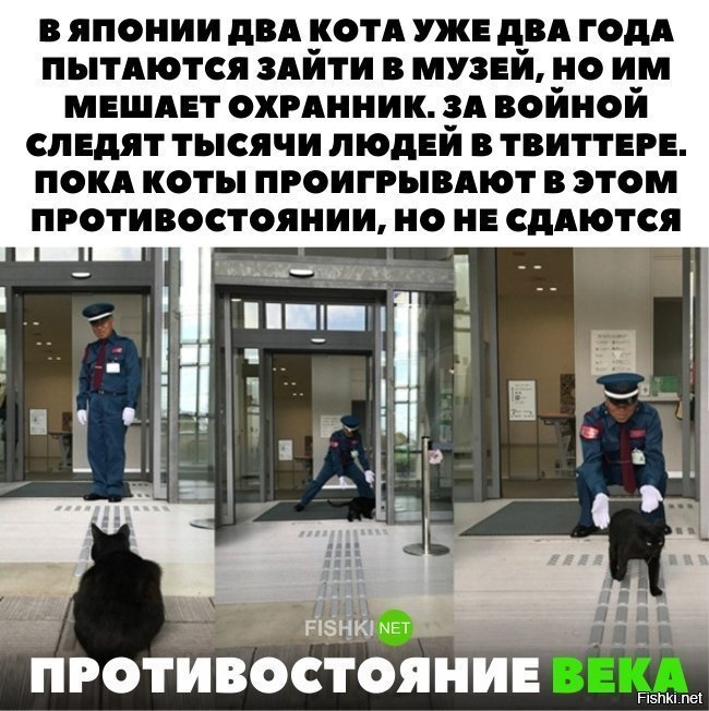 Противостояние века