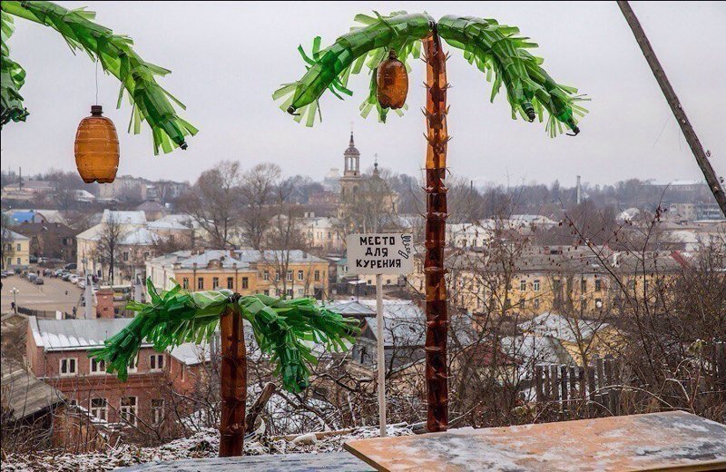 Русский климат пальмам не помеха