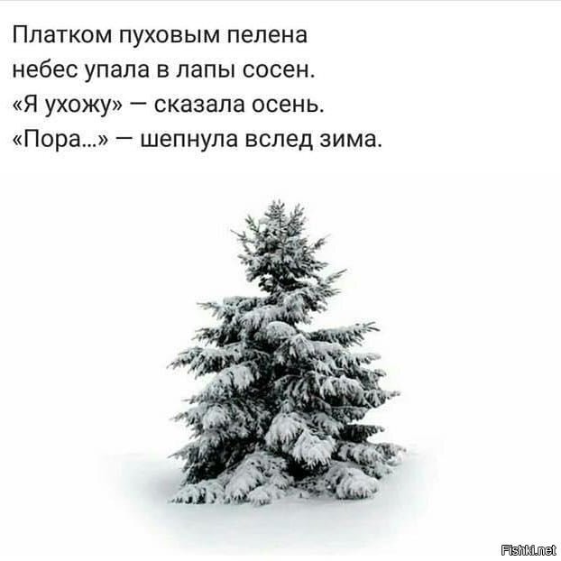 С зимой Вас