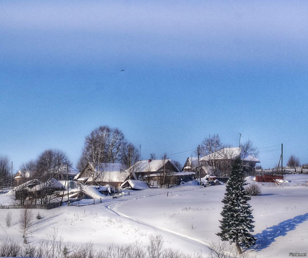 Зимняя пастораль