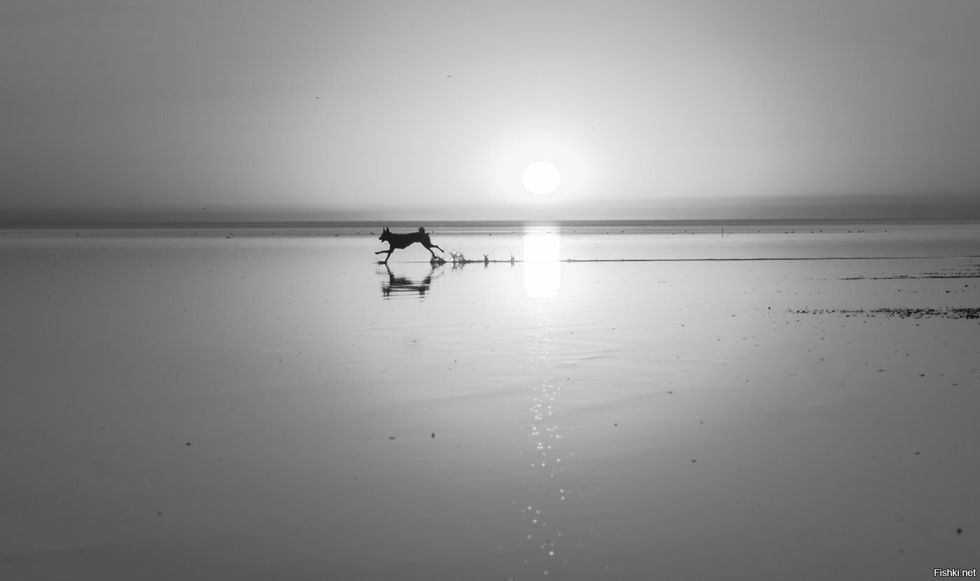 Мы станем легендой