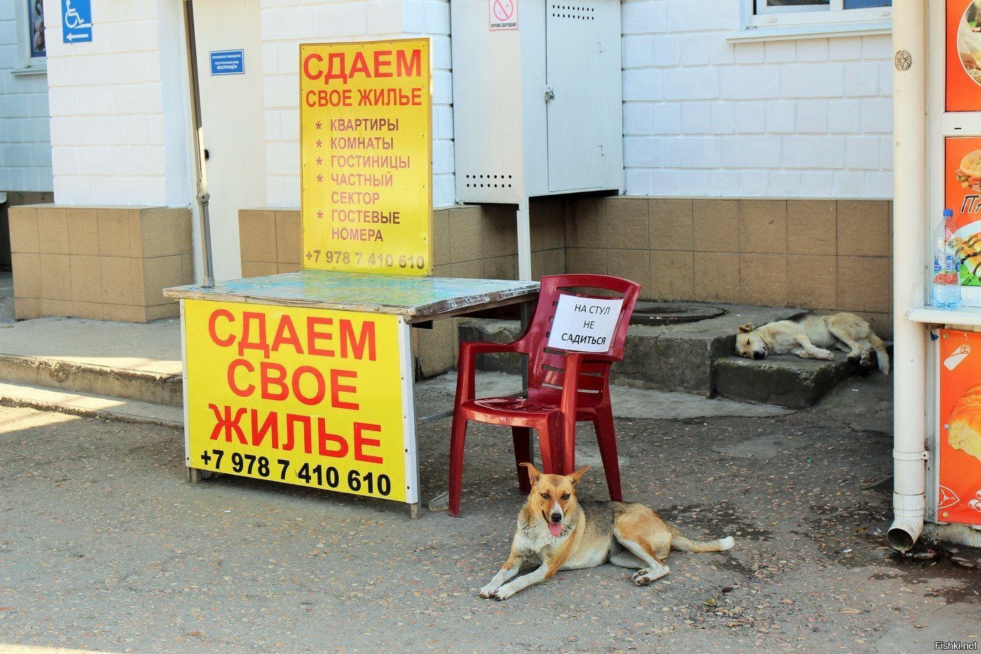 Солянка