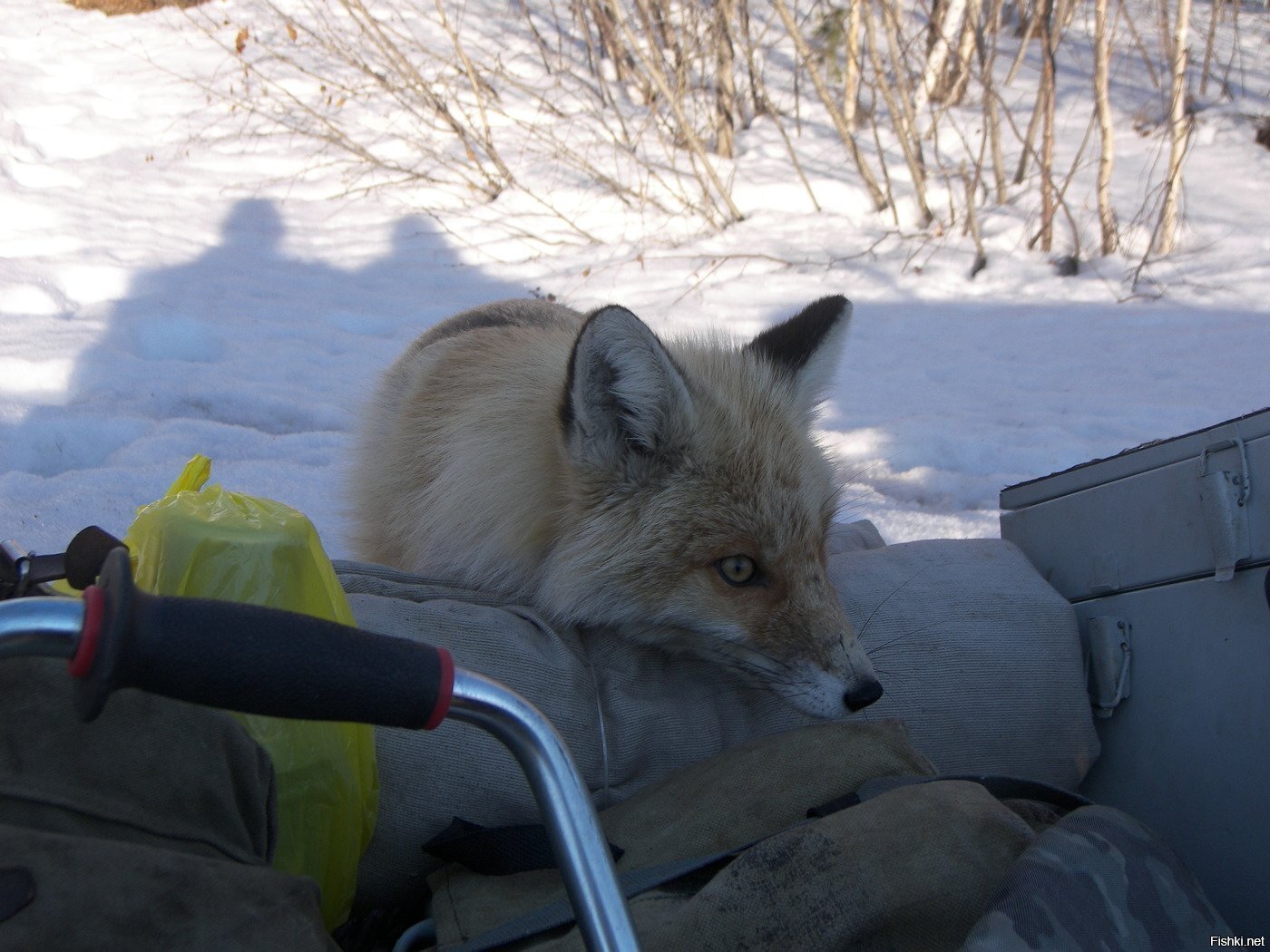 Есть поесть
