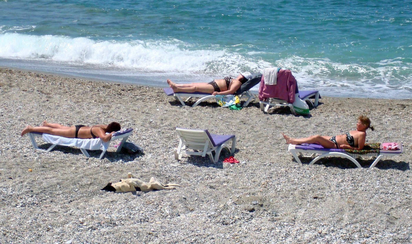 С тёлками на пляже