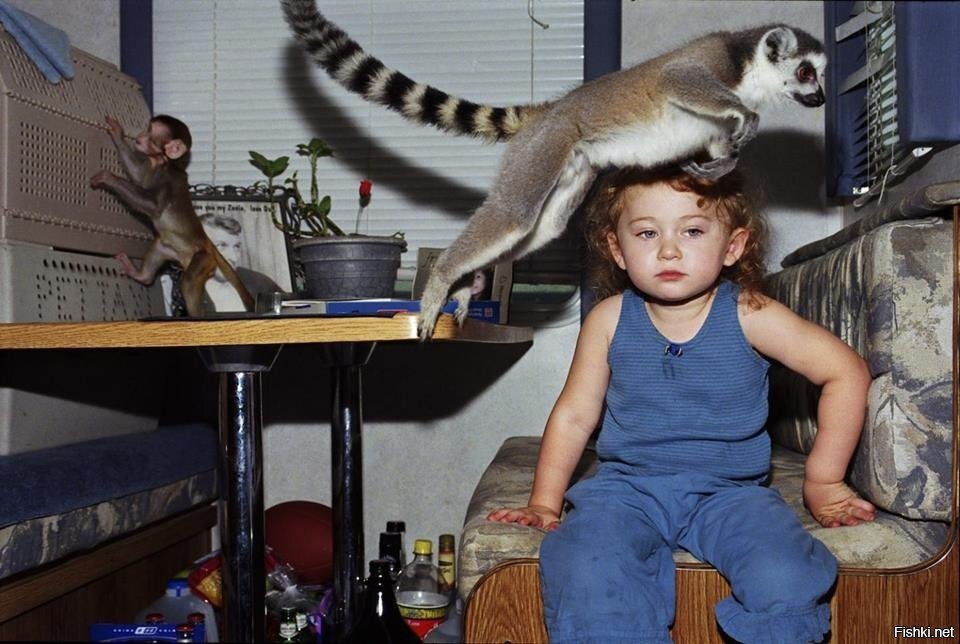 Своя атмосфера