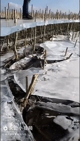 Вода ушла, а лёд остался