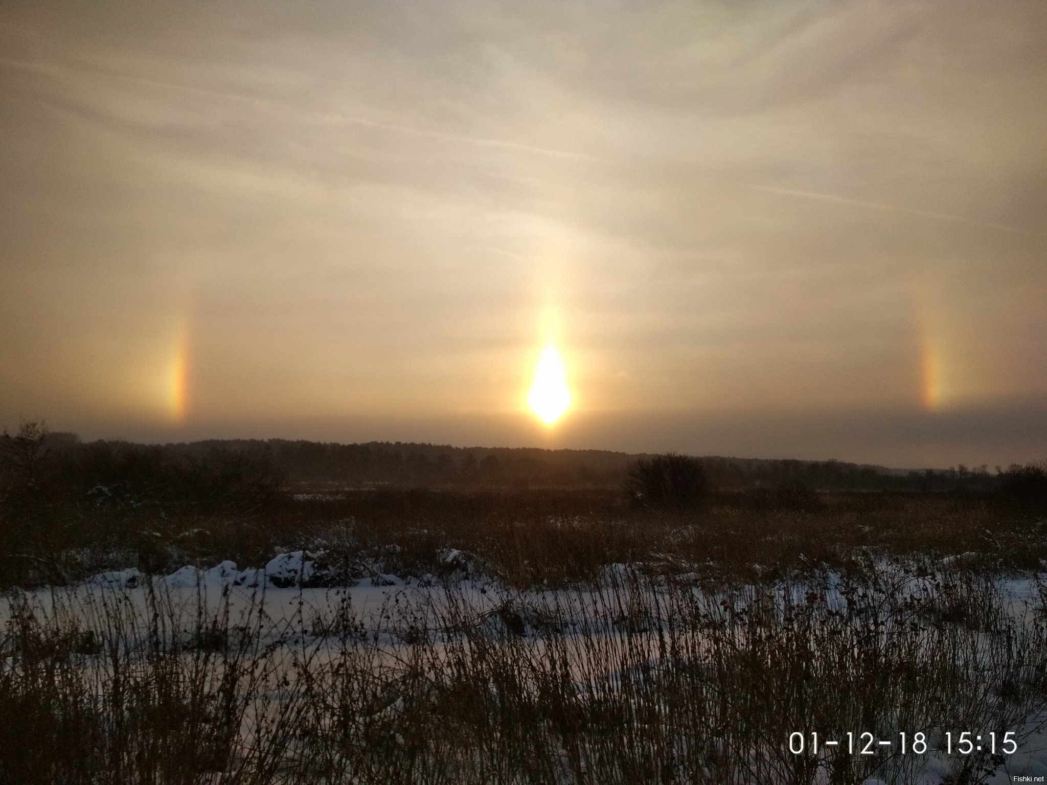 сегодня гулял