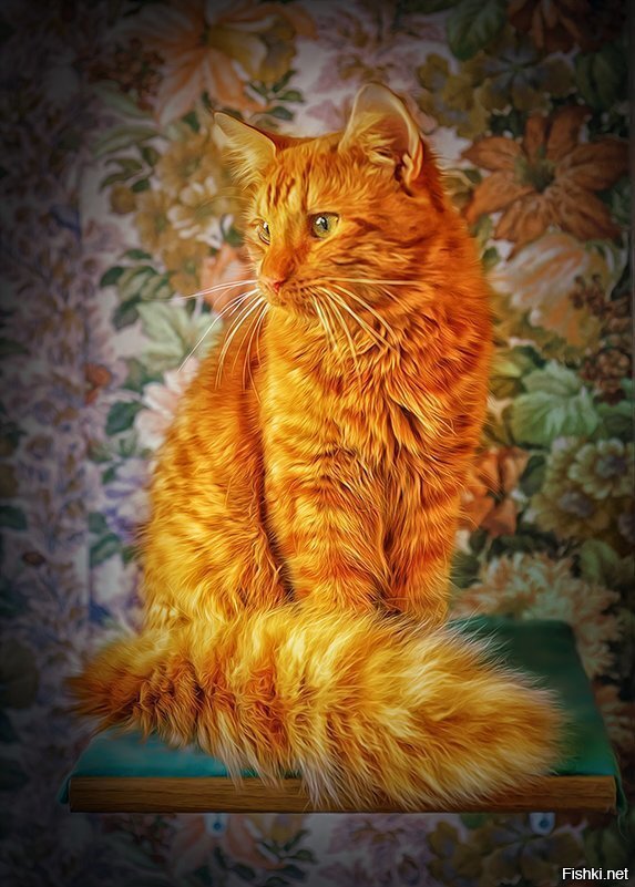 Какой уют без кота