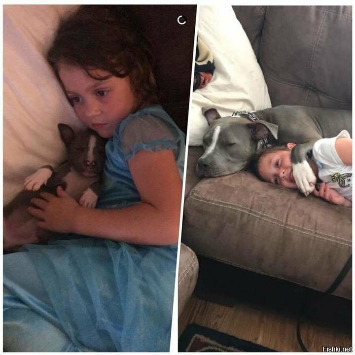 За время пути собачка успела чуть-чуть подрасти