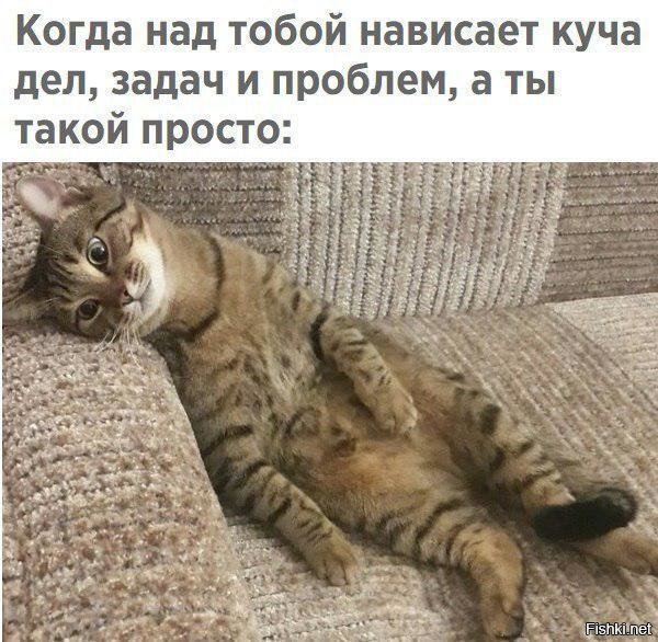 А ты лег и помер