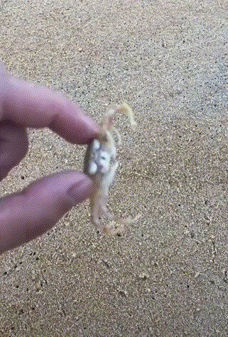 Отпросился у жены на рыбалку