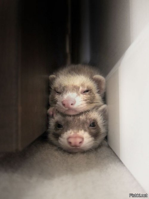 "А что вы тут делаете, а