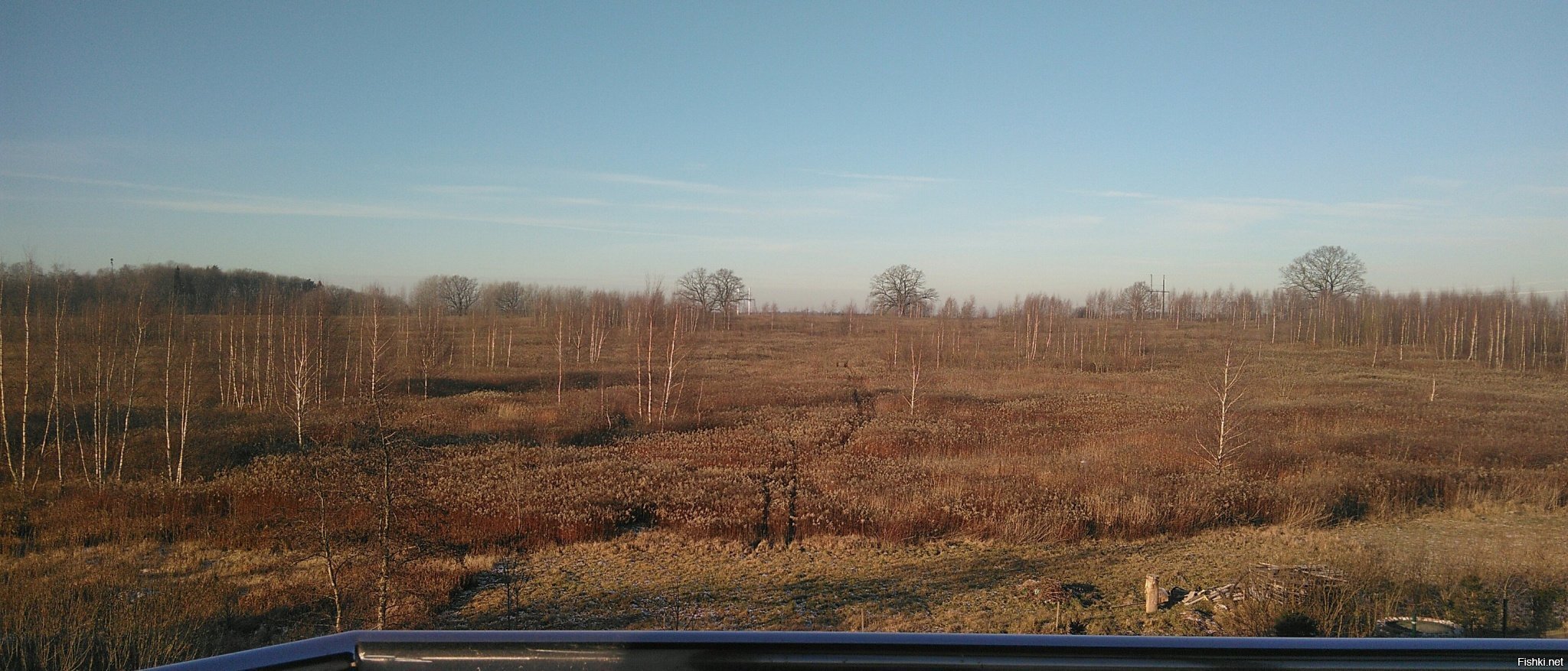 Вид из спальни