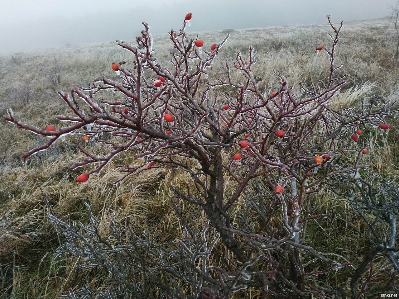 И в Крыму бывает зима