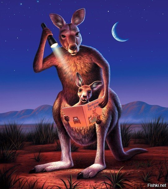 В тёмное время суток кенгуру не различают букв,поэтому используют фонарик