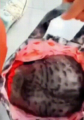 Родственники холодец передали