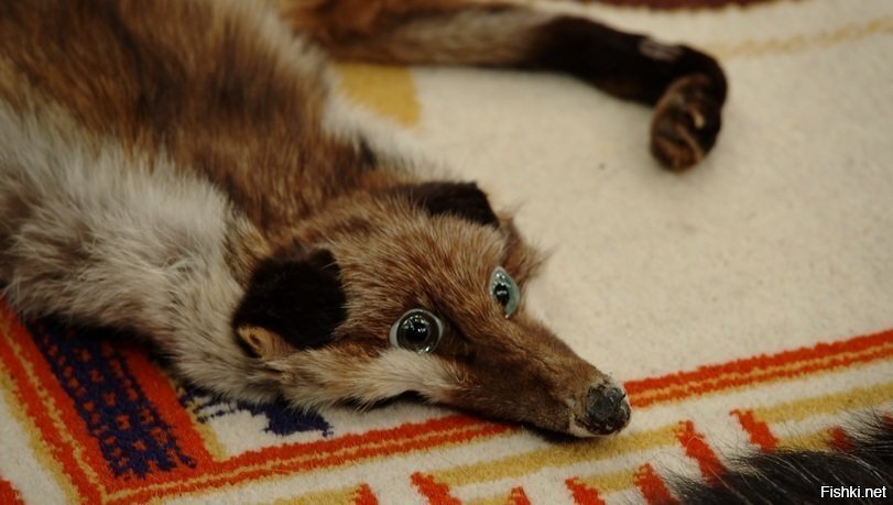 когда приходит понимание