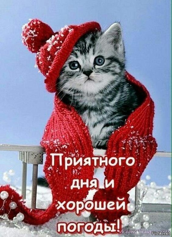 Всем привет