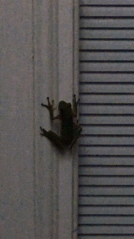 Какие версии