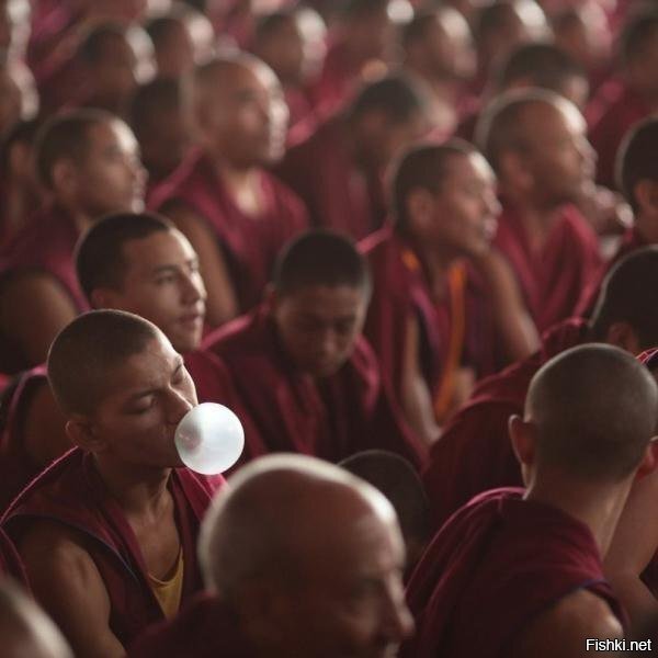 В чужой монастырь со своим бабл гамом