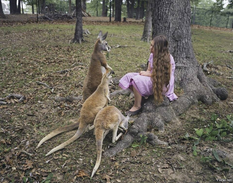 Повелительница кенгуру
