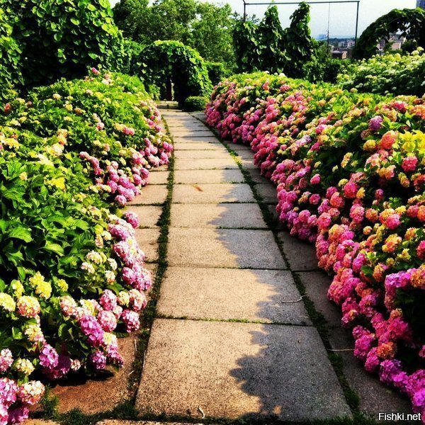 Вспоминаем прошедшее лето