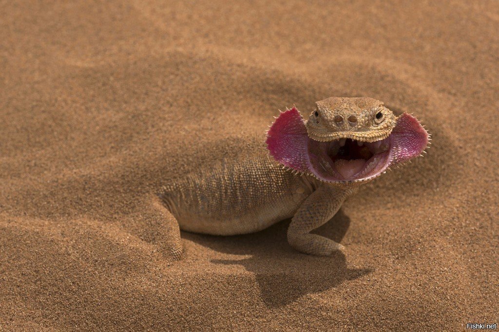 - Давай к нам