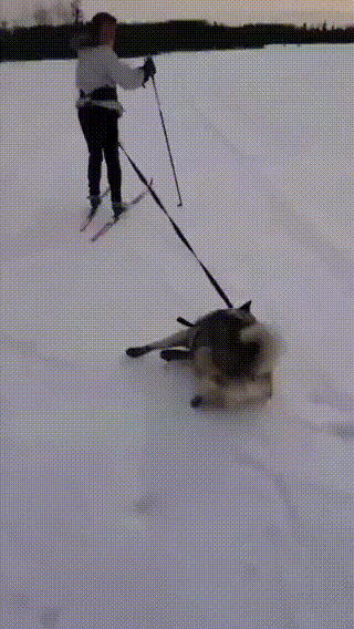 По сценарию всё должно было быть наоборот