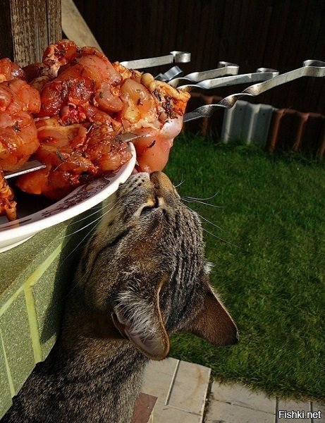 Если нельзя, но очень хочется, то чуть-чуть можно