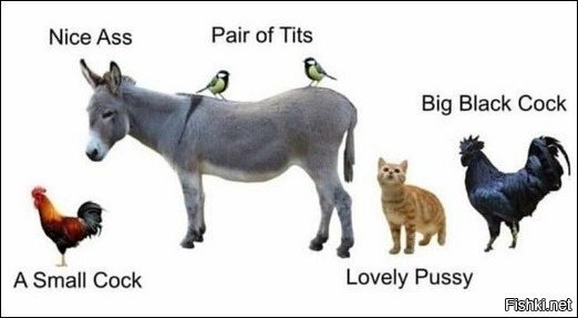 знатокам английского 