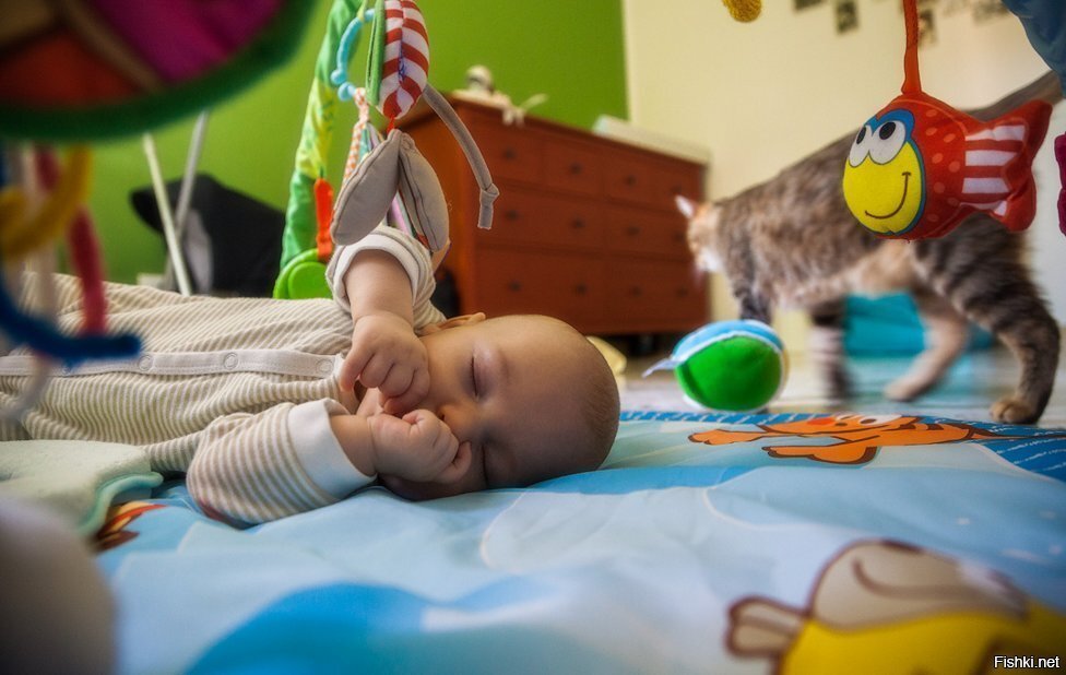 До новых встреч